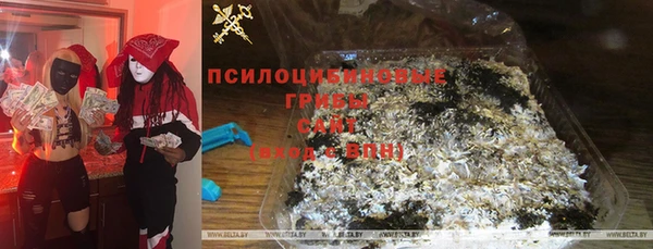 метадон Инсар