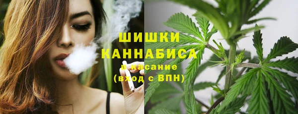 метадон Инсар