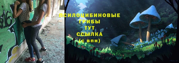 метадон Инсар