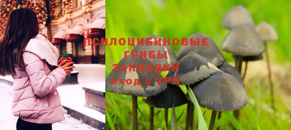 метадон Инсар