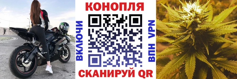 Купить где  Сольвычегодск  Каннабис семена 